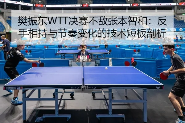 樊振东WTT决赛不敌张本智和：反手相持与节奏变化的技术短板剖析